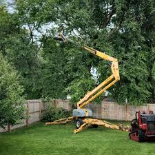 Best Arborist Consultation Services  in Mcrae Helena, GA