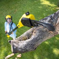 Best Pest Control for Lawns  in Mcrae Helena, GA